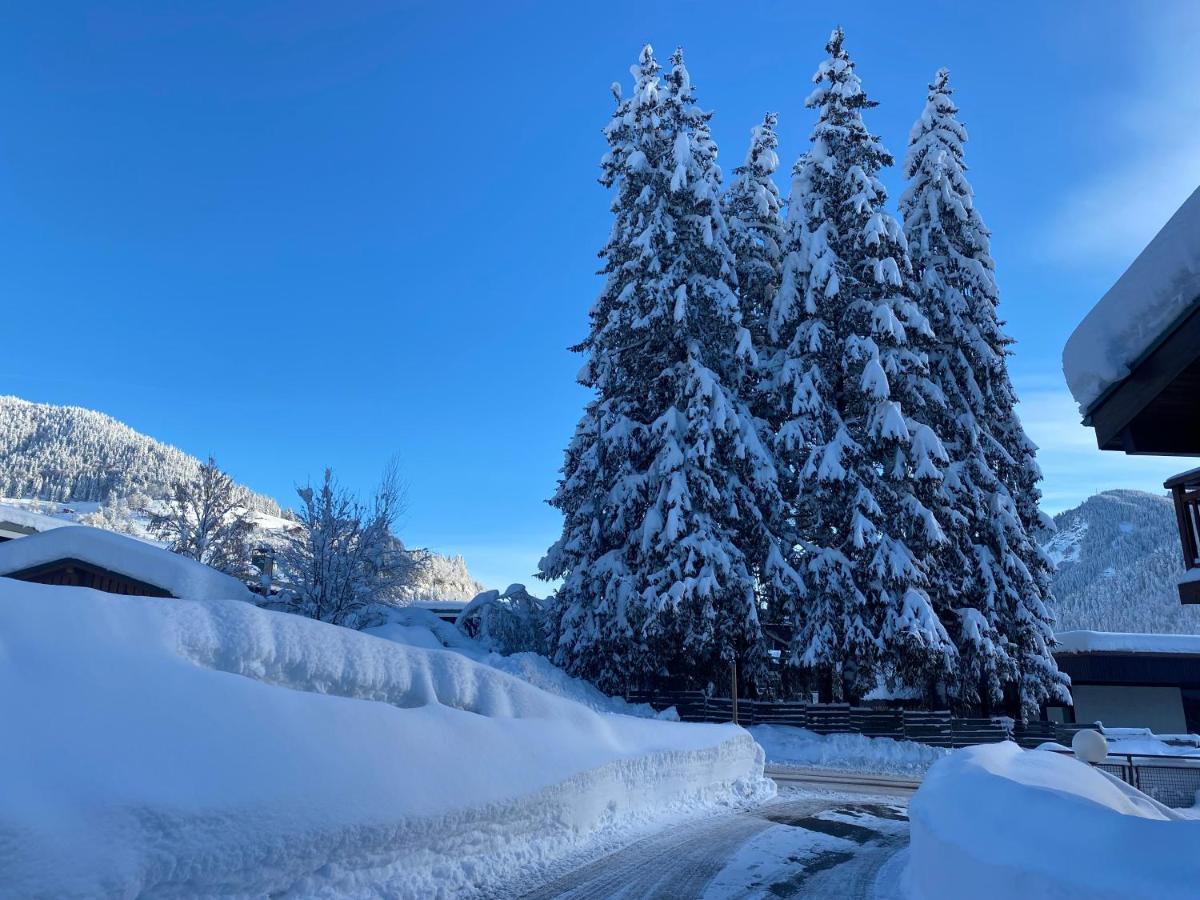 Chaleureux Appartement Renove Ambiance Chalet Praz-sur-Arly Exteriér fotografie